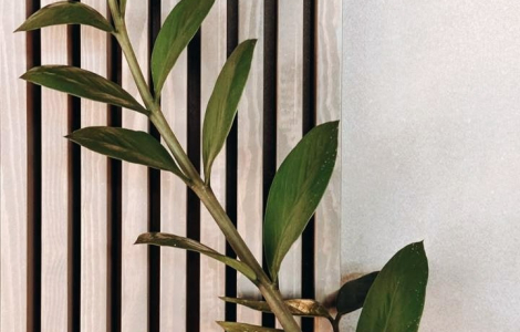 ТОП 2026 в интерьере загородного дома